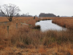 Engbertsdijksvenen